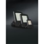 morepic-5