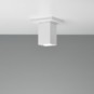 morepic-5