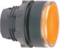 morepic-1