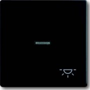 Wippe sw mt mit Symbol Licht 1789 LI-885 