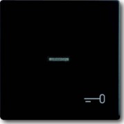 Wippe sw mt mit Symbol Schlüssel 1789 TR-885 