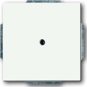 Zentralscheibe ws Blindabd,m.Tragring 1742-884 
