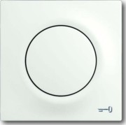 Zentralscheibe stws mit Symbol Schlüssel 1789 TR-774 