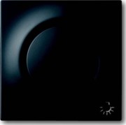 Zentralscheibe sw mt mit Symbol Licht 1789 LI-775 
