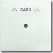 Zentralscheibe stws mt für Cardschalter 1792-774 