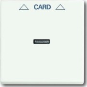 Zentralscheibe stws mt für Cardschalter 1792-884 