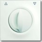 morepic-1