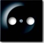 morepic-1
