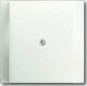 morepic-1