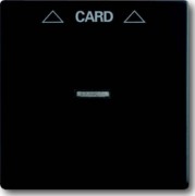 Zentralscheibe sw mt für Cardschalter 1792-885 