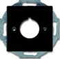 morepic-1