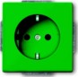 morepic-1