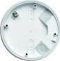 morepic-1
