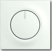 Zentralscheibe stws mt für Drehdimmer 6540-774 