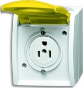 Busch-Nema-Steckdose,15 A 3015 EWN-54 