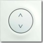 morepic-1