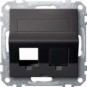 morepic-1