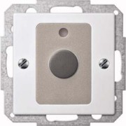Abstelltastereinsatz pws gl m.Zentralplatte MEG4851-0319 