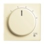 morepic-1