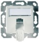 morepic-1