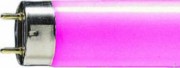 Scharnberger+Hasenbein Leuchtstofflampe T8 26x590 G13 18W pink 68000 