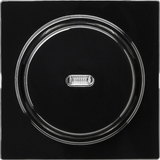 Tast-Kontrollschalter sw S-Color 012247 