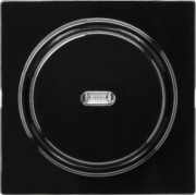 Tast-Kontrollschalter sw S-Color 012247 