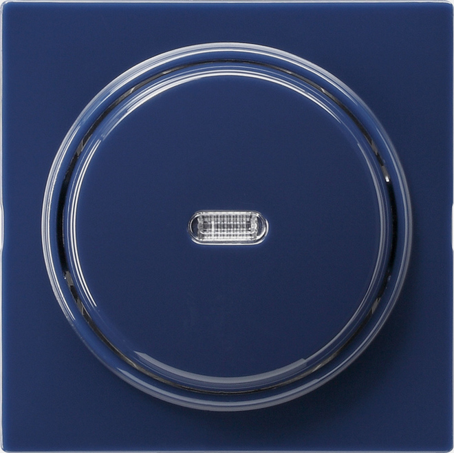 Tast-Kontrollschalter bl S-Color 012246 