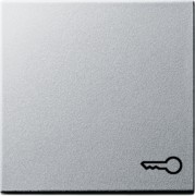 Wippe Tür alu System55 028726 