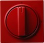 morepic-1