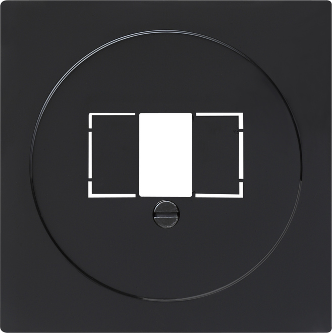 Zentralplatte TAE sw S-Color 027647 