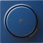 morepic-1