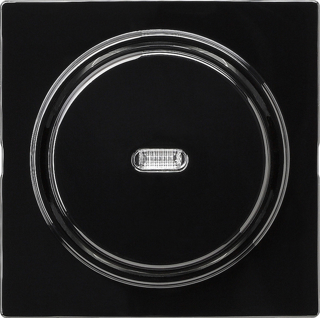 Wechsel-Taster sw kpl.m.Linse, S-Color 012047 