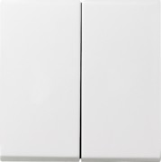 Wippe Serienschalter IP44 System 55 reinweiß g 026603 