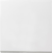 Wippe Wechselsch. rws matt 029627 