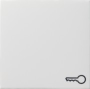 Wippe Schlüssel rws matt 028727 