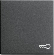 Wippe Tür anth System55 028728 