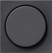 Dimmer-Abdeckung anth System55 065028 