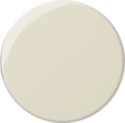 Dimmerknopf cws 091001 