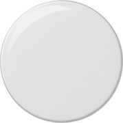 Dimmerknopf rws 091003 