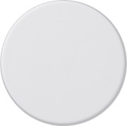 Dimmerknopf rws-matt 091027 