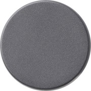 Dimmerknopf anth 091028 