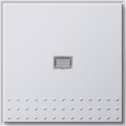 Wippschalter rws m. Kontrollfenster 091466 