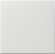 Wippe rws f. Tastschalter 091603 