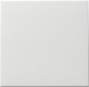 Wippschalter rws-matt Wechsel 091627 