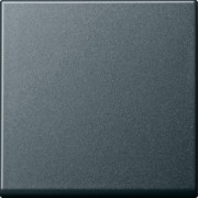 Wippe anth f. Tastschalter 091628 