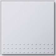 Wippschalter rws Wechsel 091666 