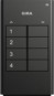 morepic-1
