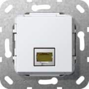 Modular Jack RJ45 Cat6A rws Gender Changer 569503 