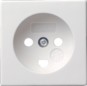 morepic-1